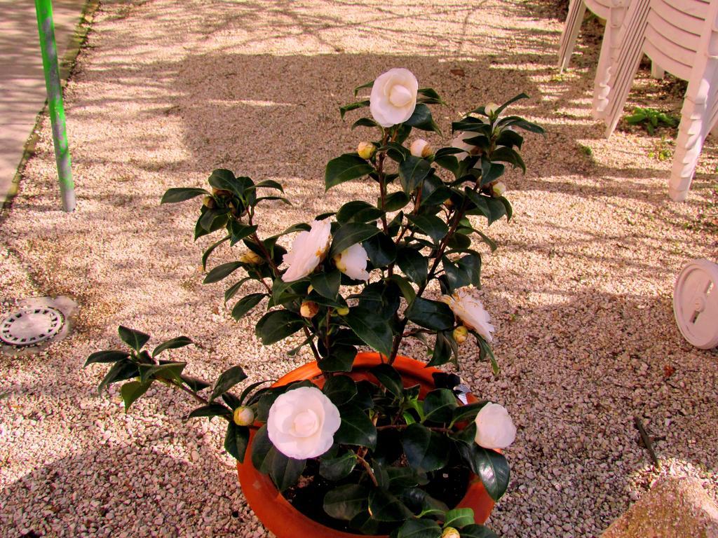 Villa Maria Bed & Breakfast, Corridonia, Marche Bagian luar foto