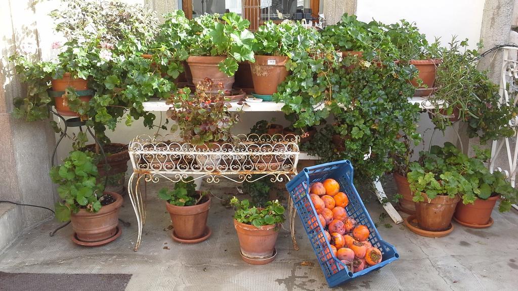 Villa Maria Bed & Breakfast, Corridonia, Marche Bagian luar foto