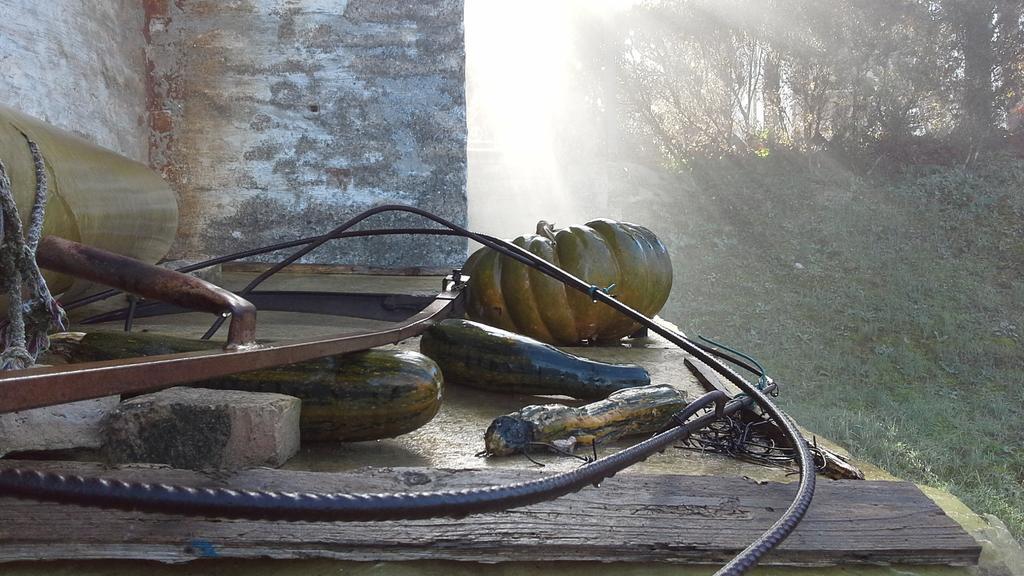 Villa Maria Bed & Breakfast, Corridonia, Marche Bagian luar foto